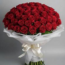 Букет 101 Красная роза Блэк Мэджик #REPLACE_PRED# Аннино