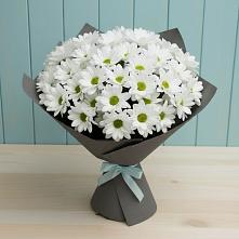 Букет цветов из:  Хризантемы #REPLACE_PRED# Аннино