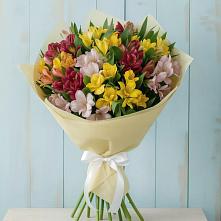 Букет цветов из:  Альстромерии в Аннино