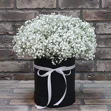 Цветочная композиция из Гипсофила в шляпной коробке #REPLACE_PRED# Аннино