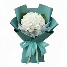 Букет цветов из:  Гортензия в Аннино